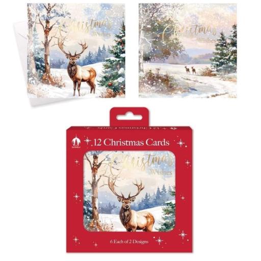 Tallon Square Cards, Winter Deer Scene - Box of 12
